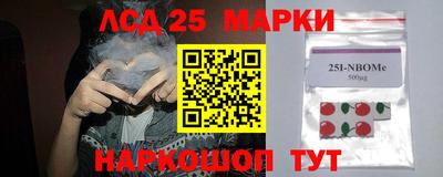 тгк Бийск