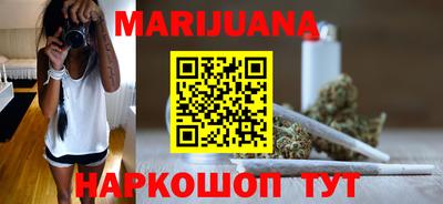тгк Бийск