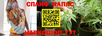 мдпв Беслан