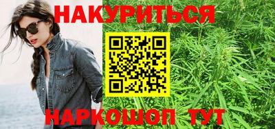 тгк Бийск