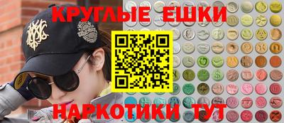 тгк Бийск