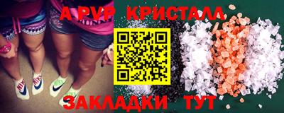 тгк Бийск