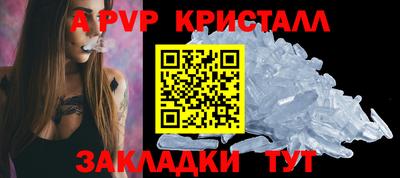 тгк Бийск
