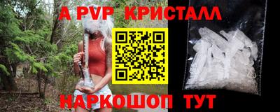 тгк Бийск