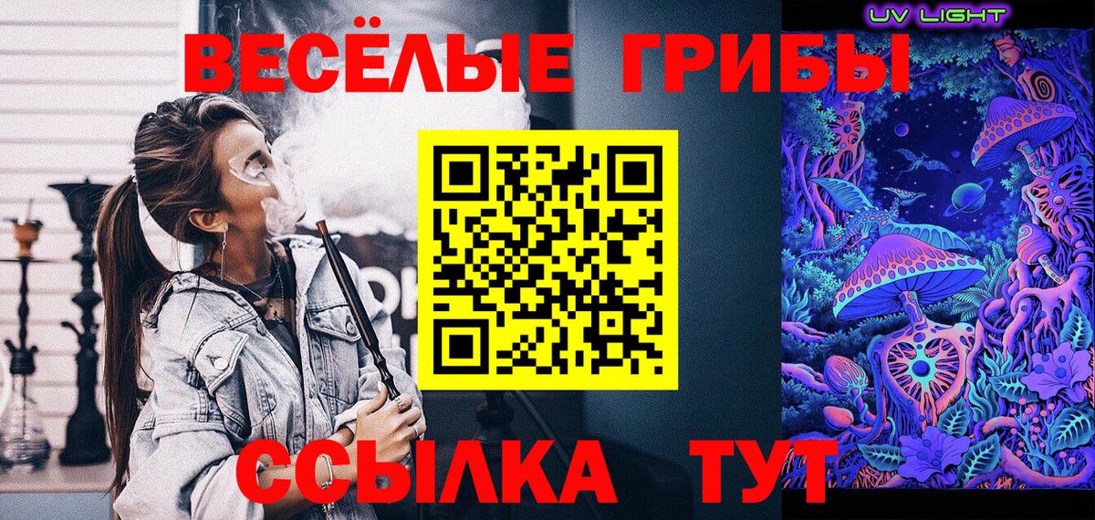 Воркута  купить   Вход с VPN  Псилоцибиновые грибы Psilocybine cubensis 