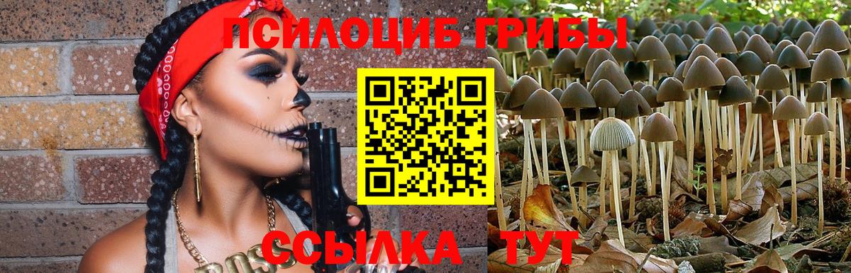 Псилоцибиновые грибы MAGIC MUSHROOMS Воркута